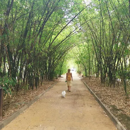 Appartement Home2book Charming Center Cruz Santa Cruz de Tenerife